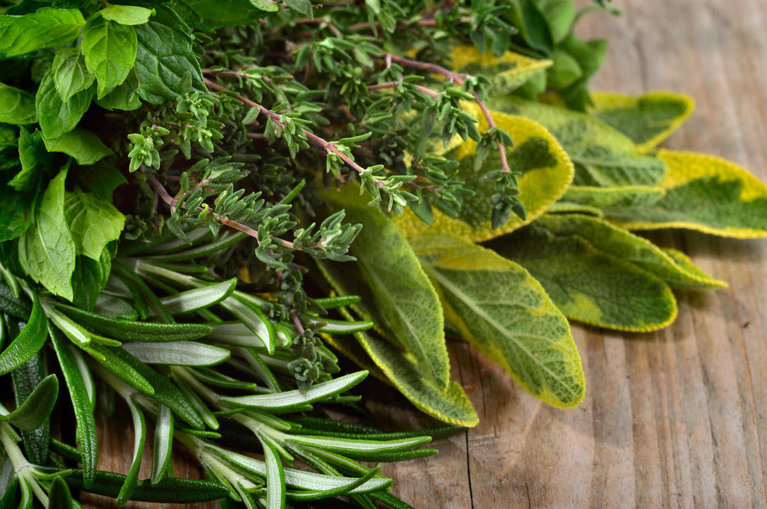 How to make a fresh herb wreath for Passover Jewish Journal