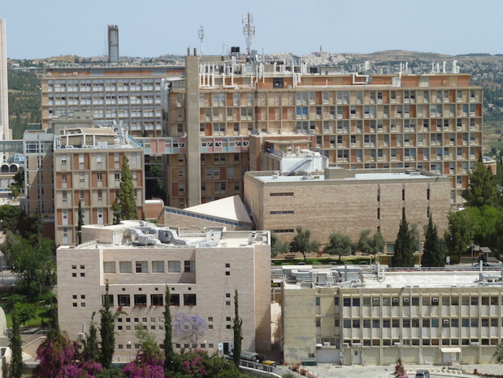 Nurse-Hadassah