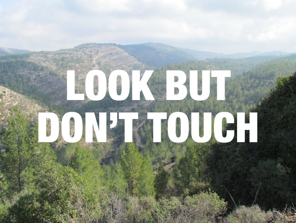 7 Haiku for Torah Portion Va’etchanan by Rick Lupert