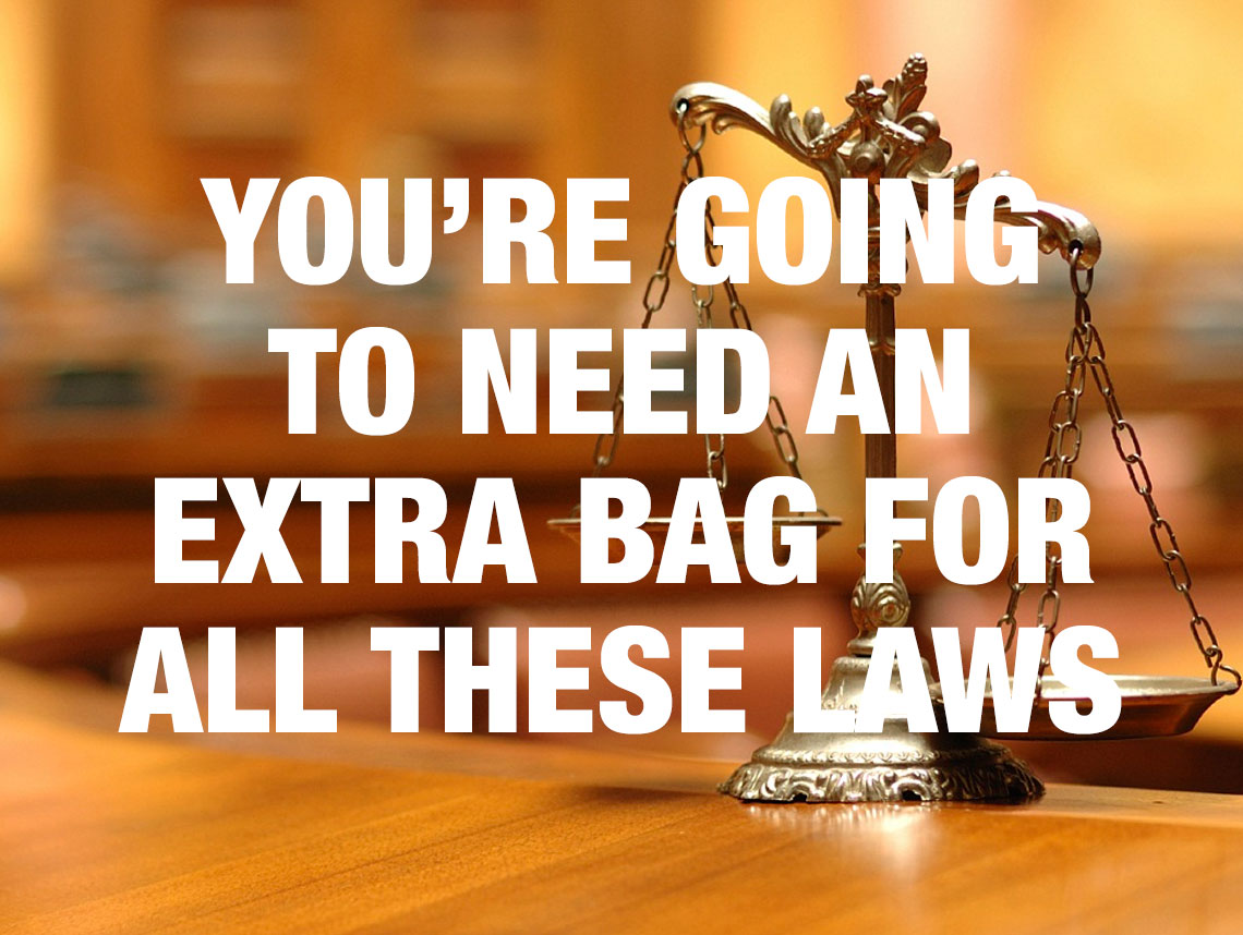 Seven haiku for Parsha Ki Teitzei (you’ll need an extra bag for all these laws) by Rick Lupert