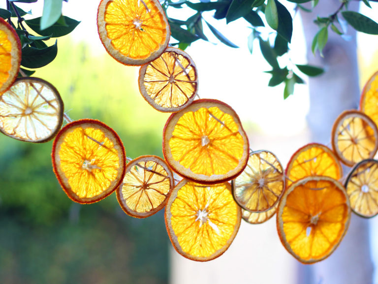DIY Dried fruit garlands for the sukkah
