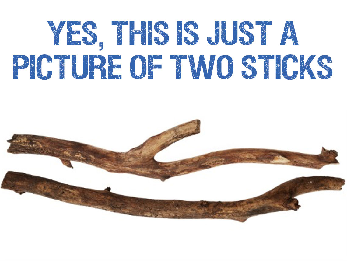 A Tale of Two Sticks - A Poem for Haftarah Vayigash by Rick Lupert