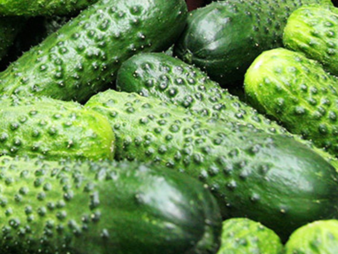 And Now I Know There are Fields of Cucumbers Somewhere - A Poem for Haftarah Devarim by Rick Lupert