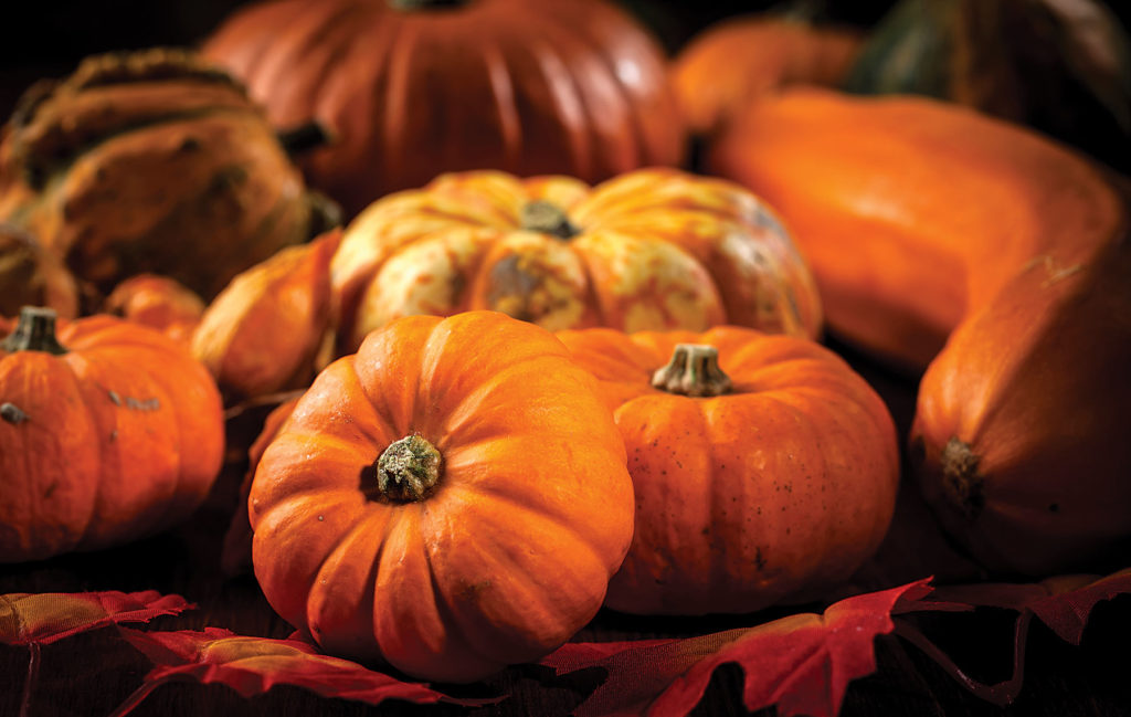 Pumpkins: Food for the Soul