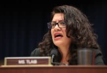 Tlaib Criticized for Tweeting Retracted Story of Israeli Settlers “Burning” Palestinian Land