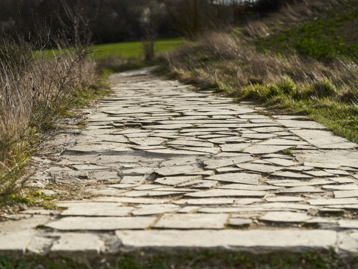 On the Broken Path