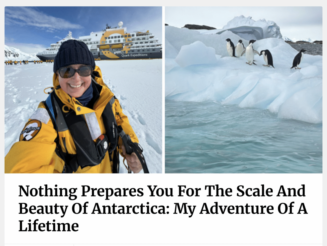 Bored Panda: Nothing Prepares You For The Scale And Beauty Of Antarctica: My...