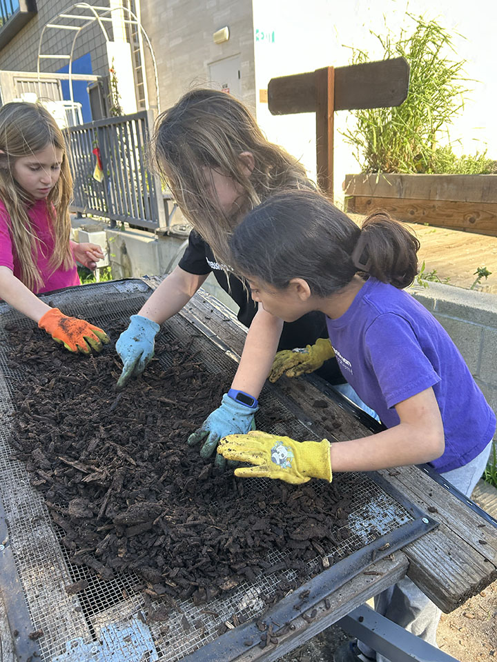 It’s Not Trash – It’s Compost!